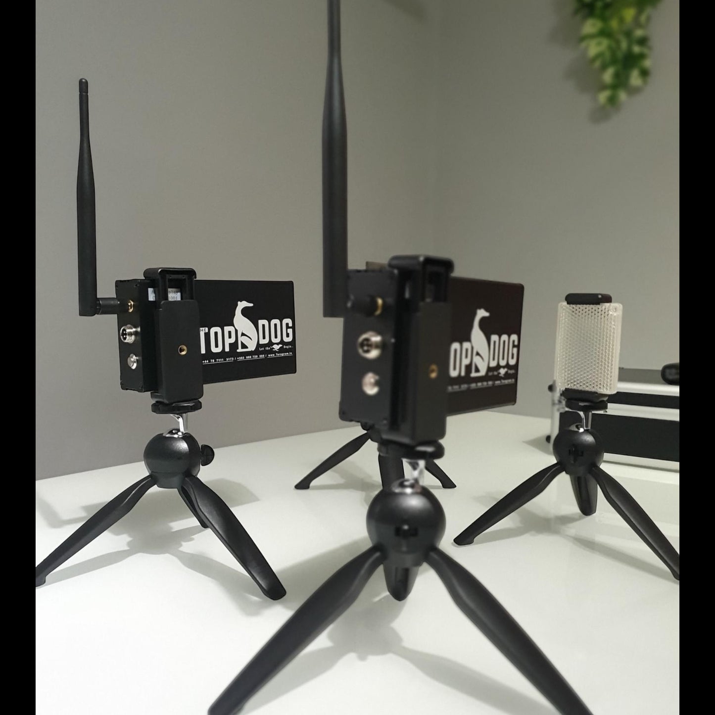 Wireless Timer- 2 Lasers with integrated display- Greyhound Coursing