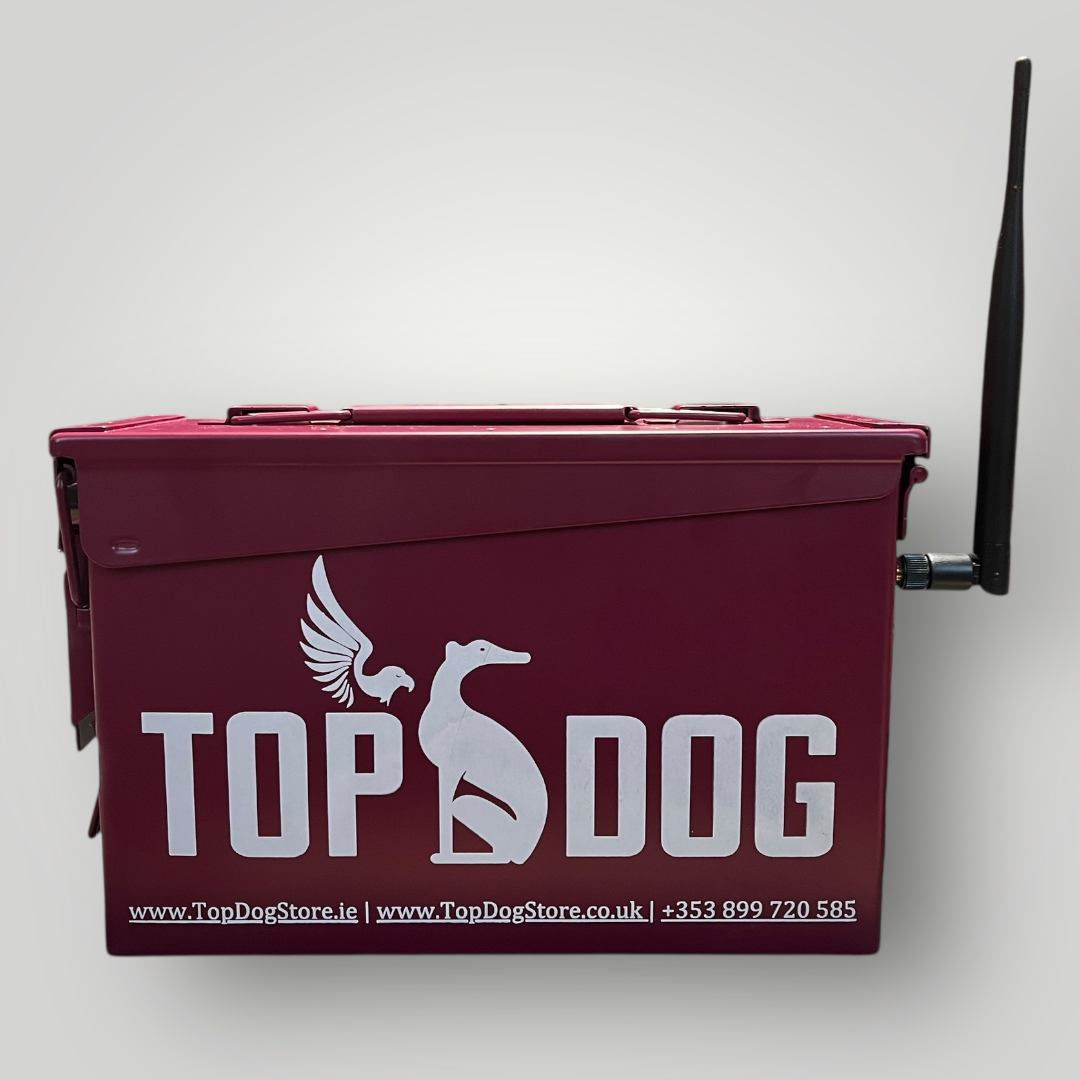 ZOOMI - for Pet Dogs