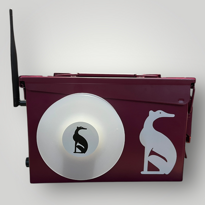 ZOOMI - for Pet Dogs