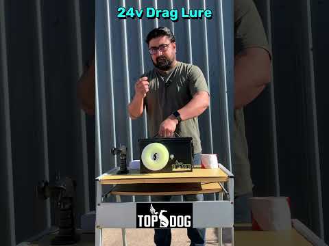 24v MagDog Pro Drag Lure Model - Whippets & Lurchers